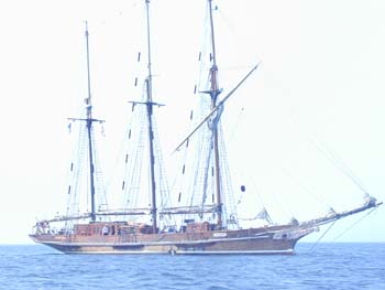 P1013119